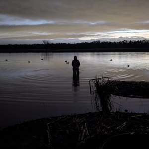 Meet your Posher, Mason